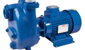 zelfaanzuigende centrifugaalpomp Victor S60 G31T