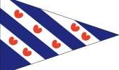 Friese puntvlag